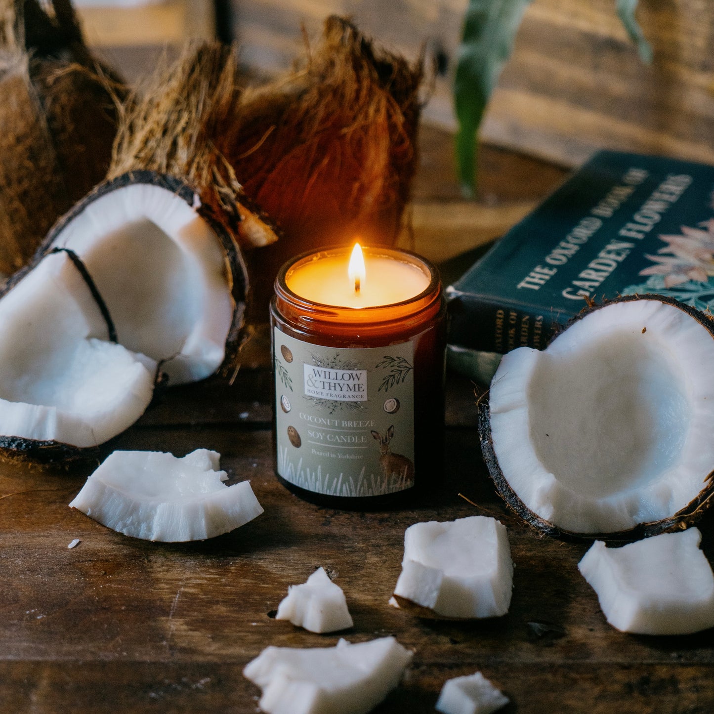Coconut Breeze Candle