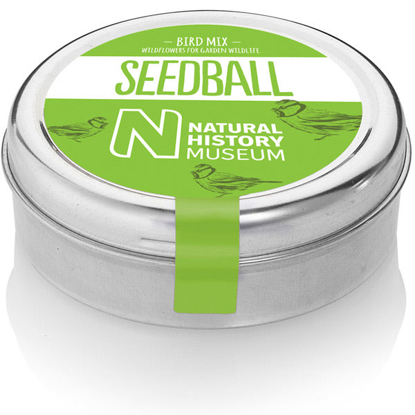 Bird Mix - Seedballs