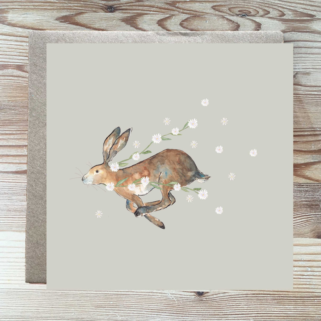 Hare and Daisies Card