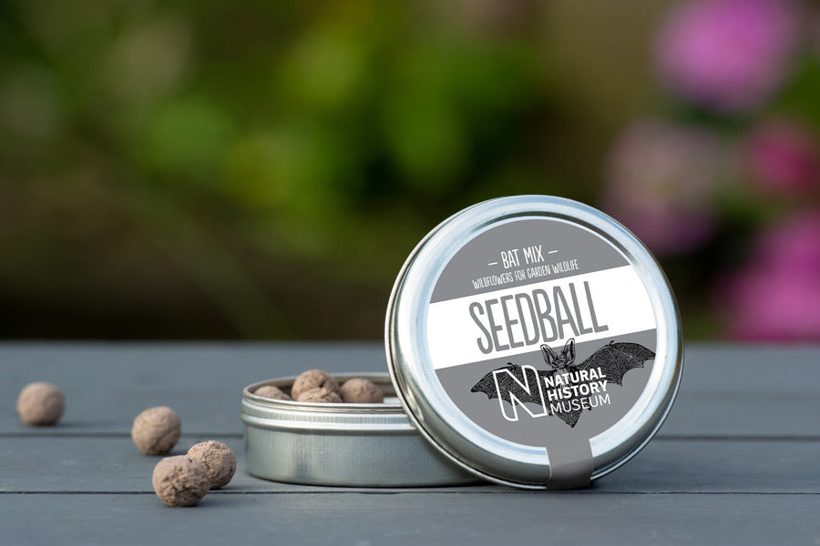 Bat Mix - Seedballs