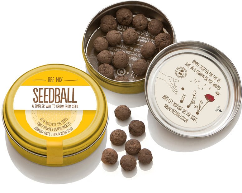 Bee Mix - Seedballs